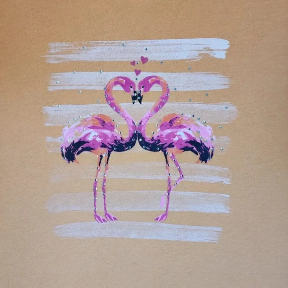 Catherines T-Shirt Men's Size 2X Orange Cotton Crew Neck Short Sleeve Pullover - Picture 6 of 7